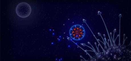 细胞生存战/Microcosmum: survival of cells