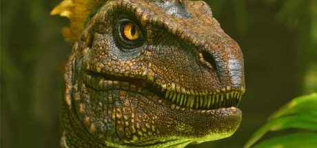 方舟: 生存飞升/ARK: Survival Ascended/支持网络联机