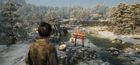 战国王朝/Sengoku Dynasty/支持网络联机